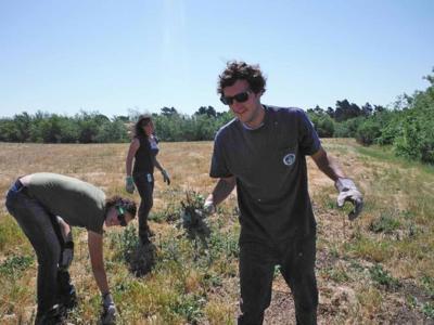 From yarn-buying and bird-counting to cycling and lecturing, Monterey County is alive with activity.
