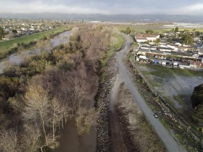 Pajaro River Levee