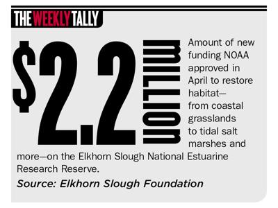 The Tally 05.11.23