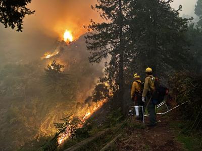Dolan Fire