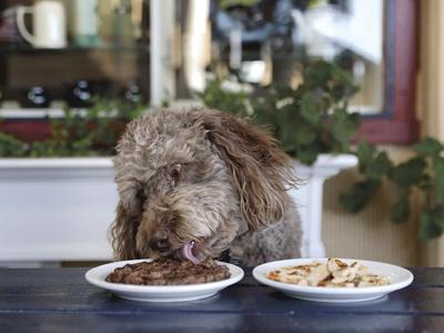 Bone Appetit