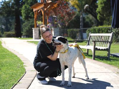Fostering Healing