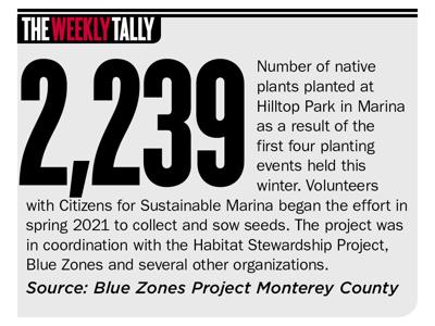 The Weekly Tally 03.09.23