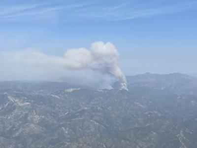 Willow Fire