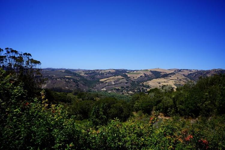 KS - Garland13 - view.jpg