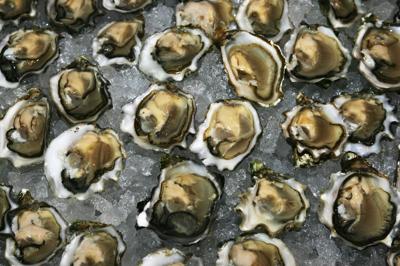 oysters at Cooking for Solutions