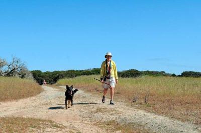 New activist group fights to push development off the remaining oak groves – and onto paved eyesores – on the former Fort Ord.  
