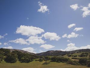 Image for display with article titled As the climate crisis worsens, the Big Sur Land Trust is experimenting to create carbon sinks in local rangelands.