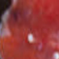 How To Buy And Freeze Fish So The Glorious Wild Salmon Season Doesn T Have To Stop Eat Drink Montereycountyweekly Com