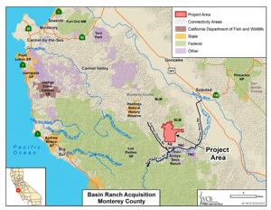 Image for display with article titled Big Sur Land Trust Acquires the 5,105-acre Basin Ranch