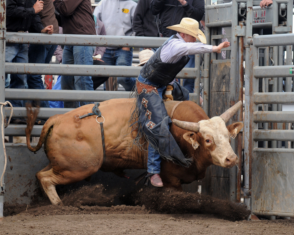 PHOTOS 2013 Professional Bull Riding at California Rodeo Salinas