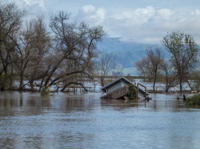Flooding - Salinas River