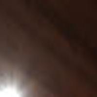 How To Annihilate Drywood Termites Without Poisoning Yourself