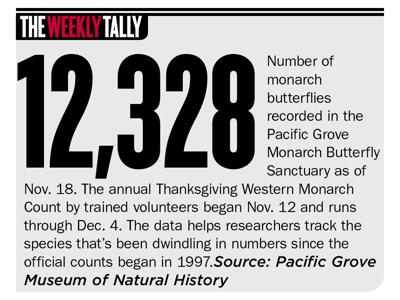 The Weekly Tally 11.24.22