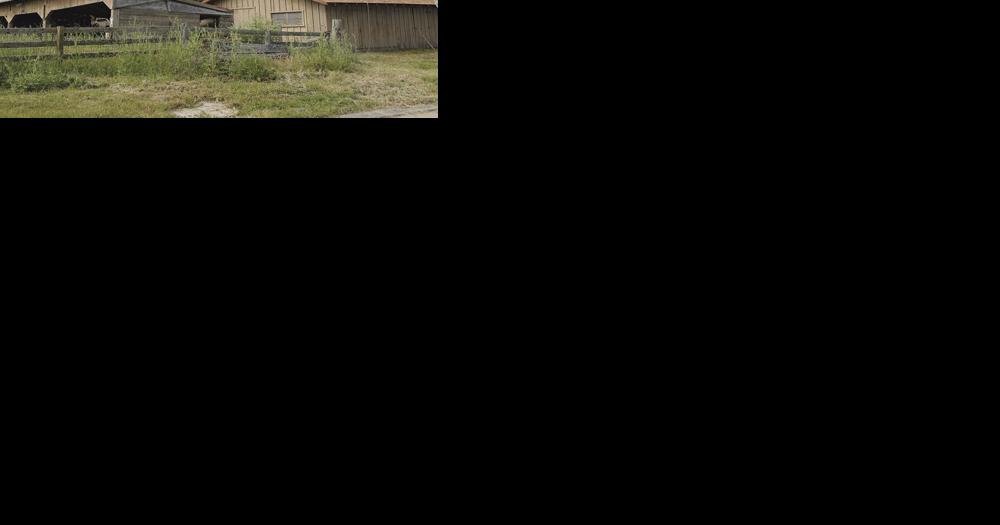 Nonprofit volunteers helped State Parks preserve some of Point Lobos' agricultural history. | 831 (Tales from the Area Code) - Vimarsana News