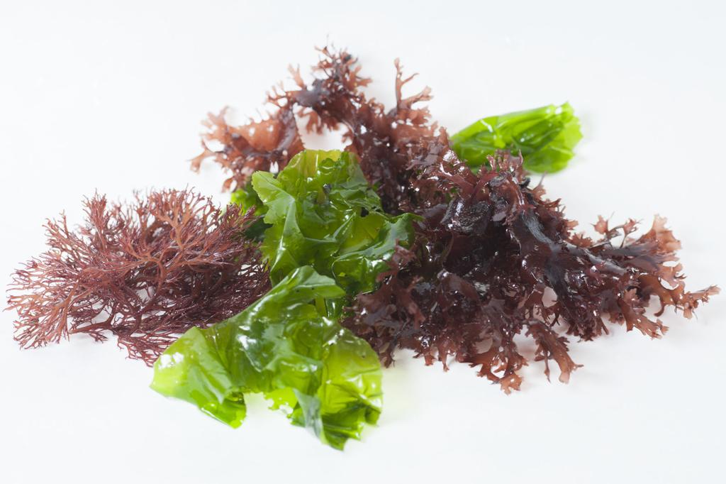 A Recipe For And A Love Note To Seaweed You Should Eat Food