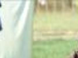 A Girl And Her Dog Mend A Town In Because Of Winn Dixie Local News Montereycountyweekly Com