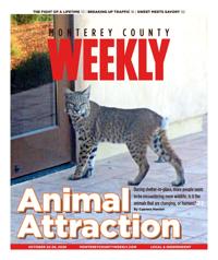 Issue October 22, 2020