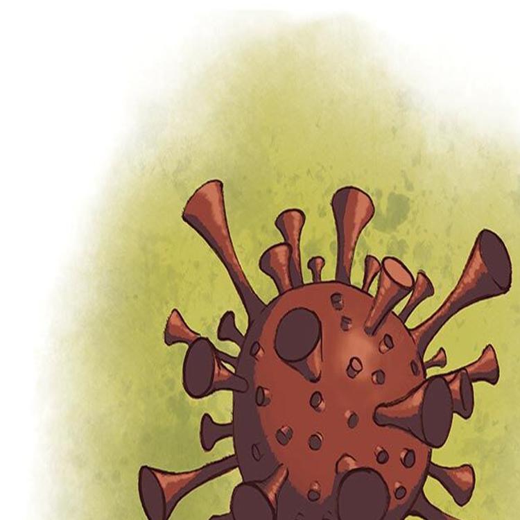 A Guide To Covid 19 Vaccinations In Monterey County Local News Montereycountyweekly Com