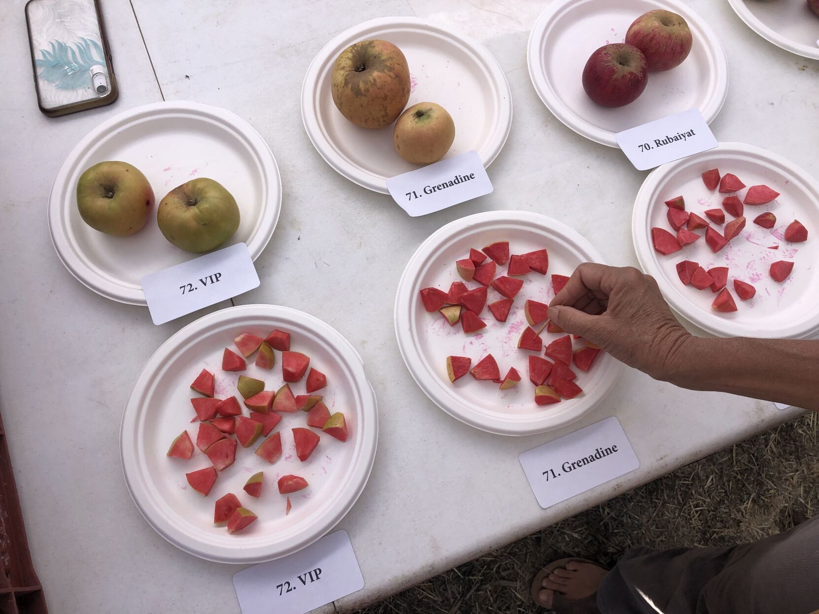 Monterey Bay Rare Fruit Growers apple tasting reveals a fruit