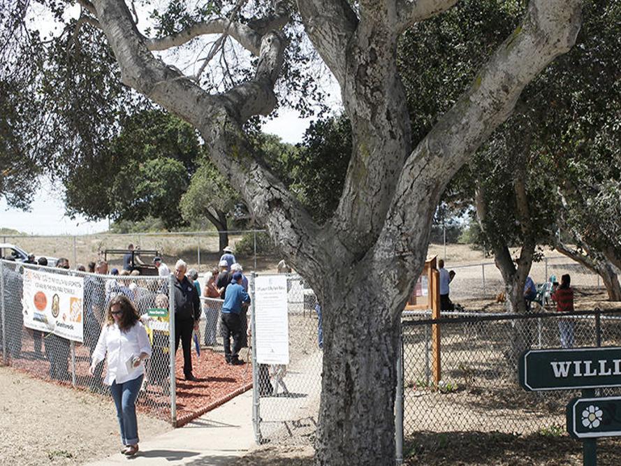 Pacchetti Dog Park Ca