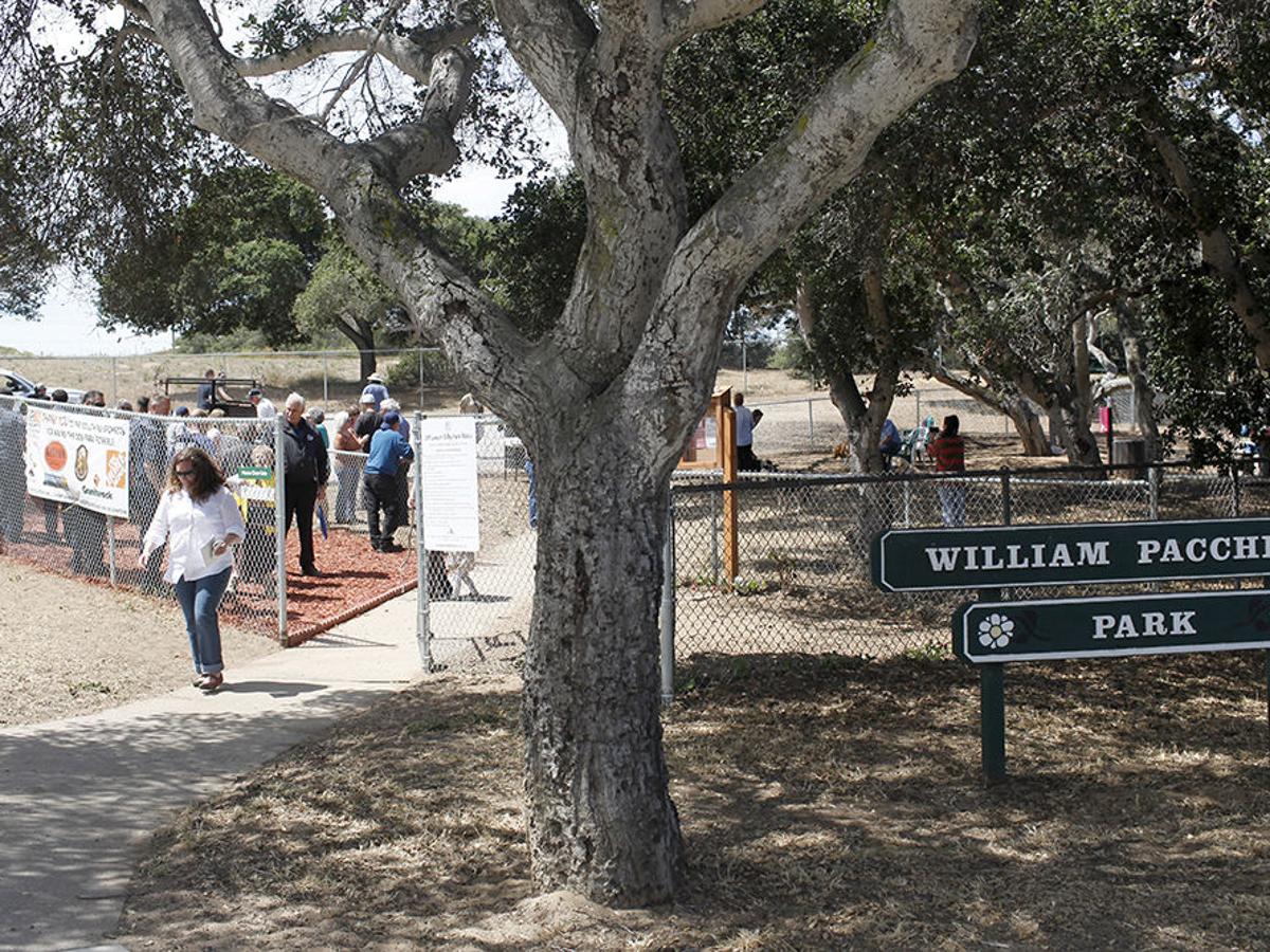 Pacchetti Dog Park Ca