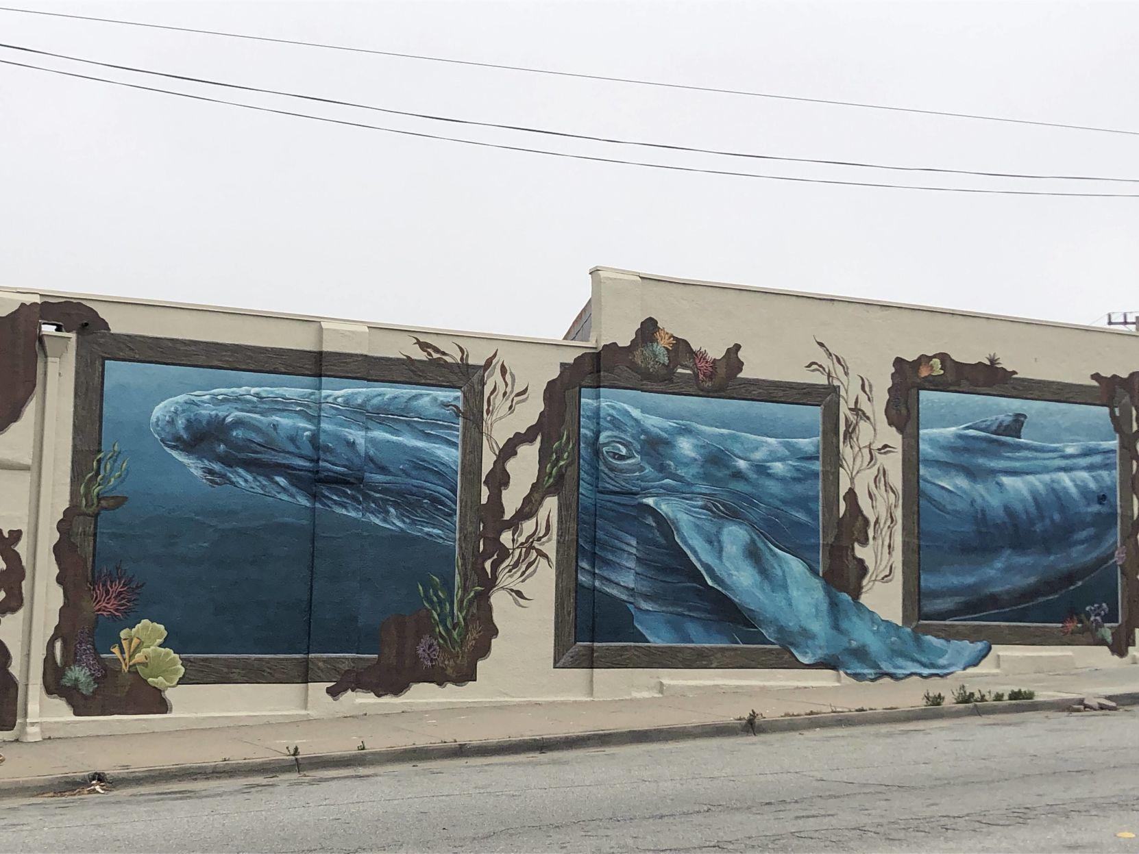 A Seaside Wall Gets A New Humpback Whale Mural Thanks To A