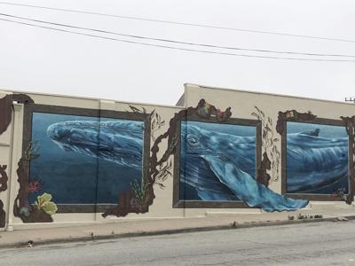 A Seaside Wall Gets A New Humpback Whale Mural Thanks To A