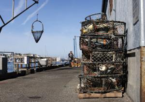 Image for display with article titled After Two-Month Delay, Commercial Crab Season Opens on the Central Coast.