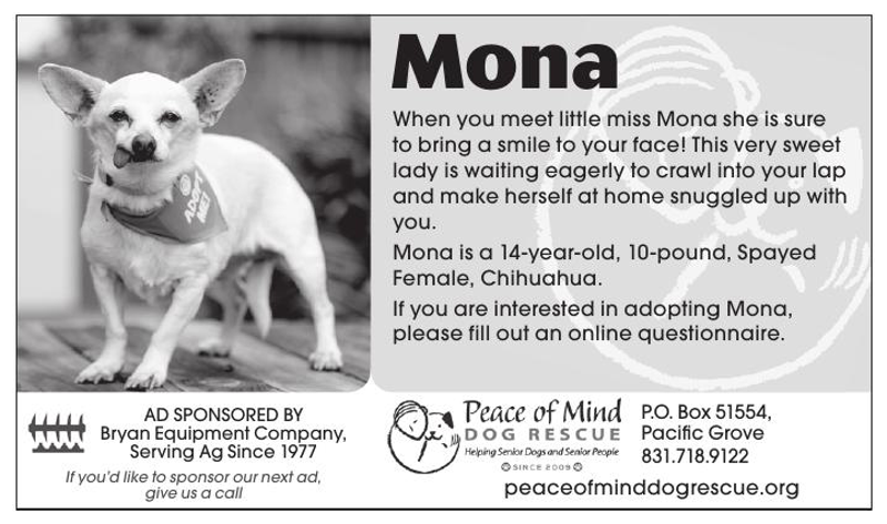 BREZSNY'S ASTROLOGY • Oct. 6-12, 2016 | Brezsny's Real ...