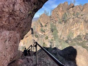 Image for display with article titled It's nesting season for birds of prey at Pinnacles National Park, which means hikers and climbers should stay out sensitive areas.