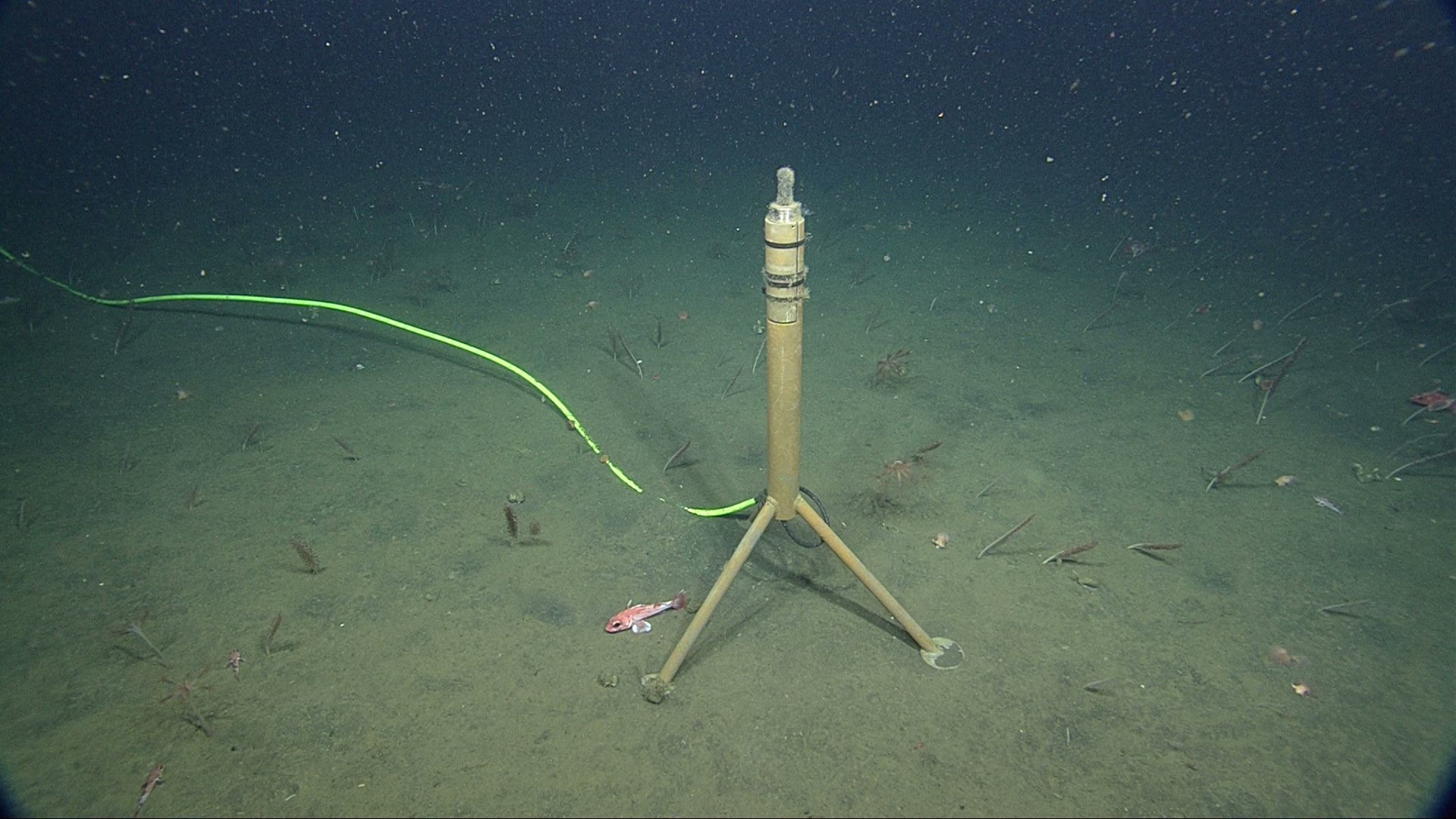 MBARI introduces deep sea hydrophone to hear the sounds of