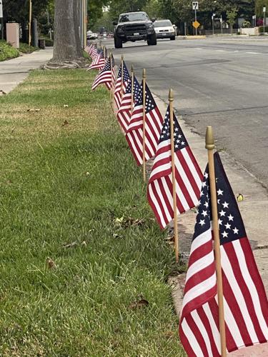 Memorial Day flags
