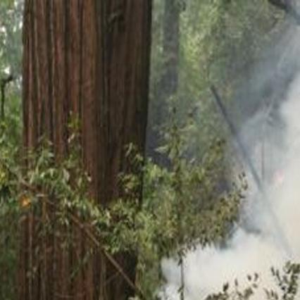 Limited News Is Good News From Big Sur Fire Front News Montereycountyweekly Com