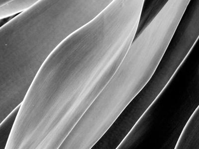 Artifacts 06.30.16