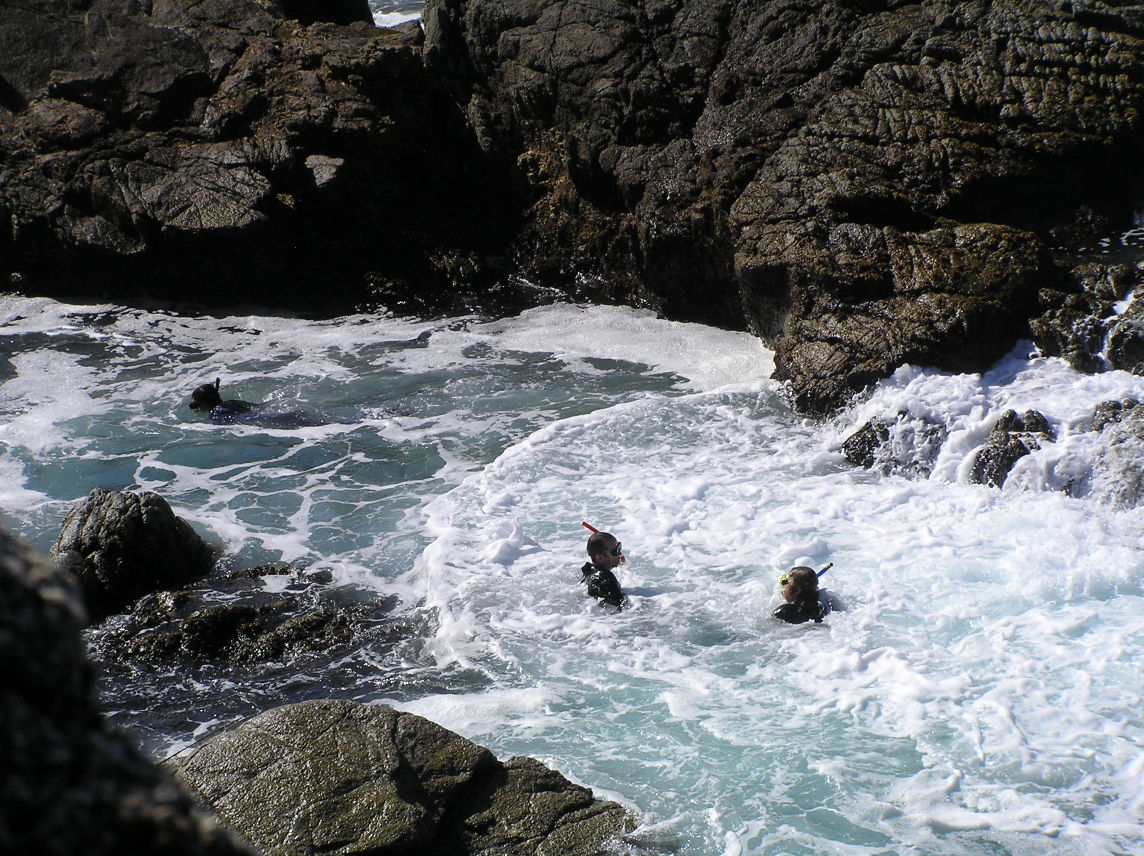 best tidal pool spots in monterey best tidal pool spots in monterey
