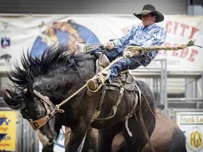 Join the Stampede