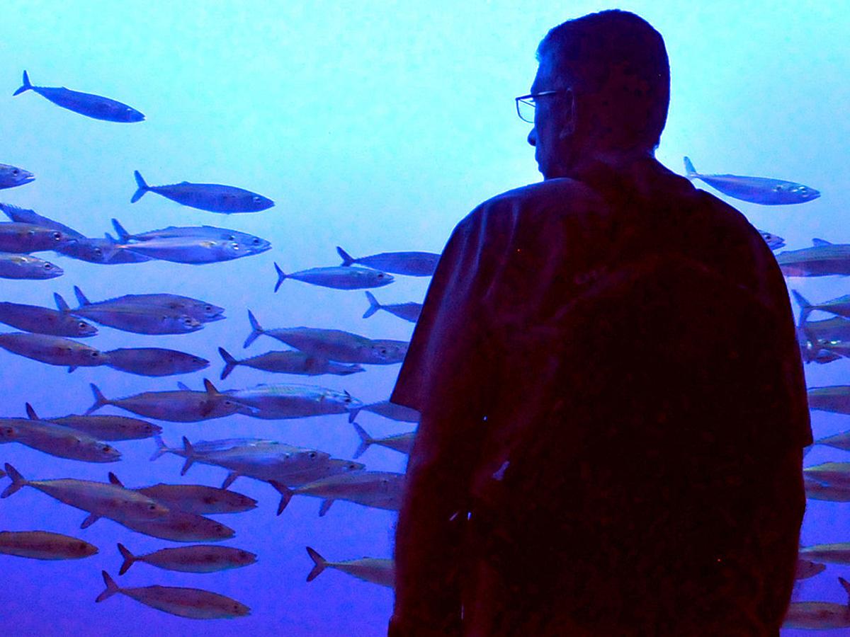 monterey county weekly