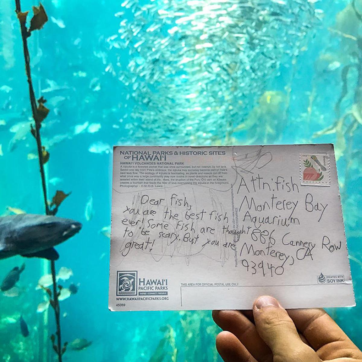 Monterey Bay Aquarium Created A Guide Called Seafood Watch Which Distinguishes The Sustainable Seafood F Sustainable Seafood Monterey Bay Aquarium Monterey Bay