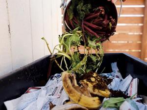 Image for display with article titled The new composting mandate has stirred up questions.