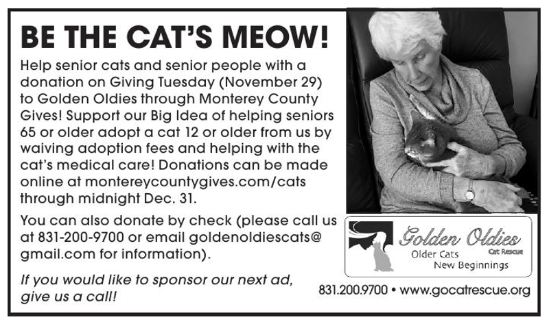 Brezsny's Real Astrology | montereycountyweekly.com