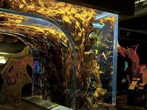 Image for display with article titled Monterey Bay Aquarium Announces Date for Deep Sea Exhibition