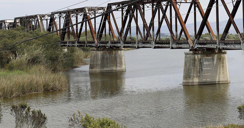 New drought realities will shift how the county prioritizes Salinas River steelhead trout.