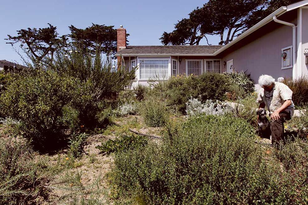Four experts explain how to turn a sandy yard into a thriving ecosystem. Cover Collections