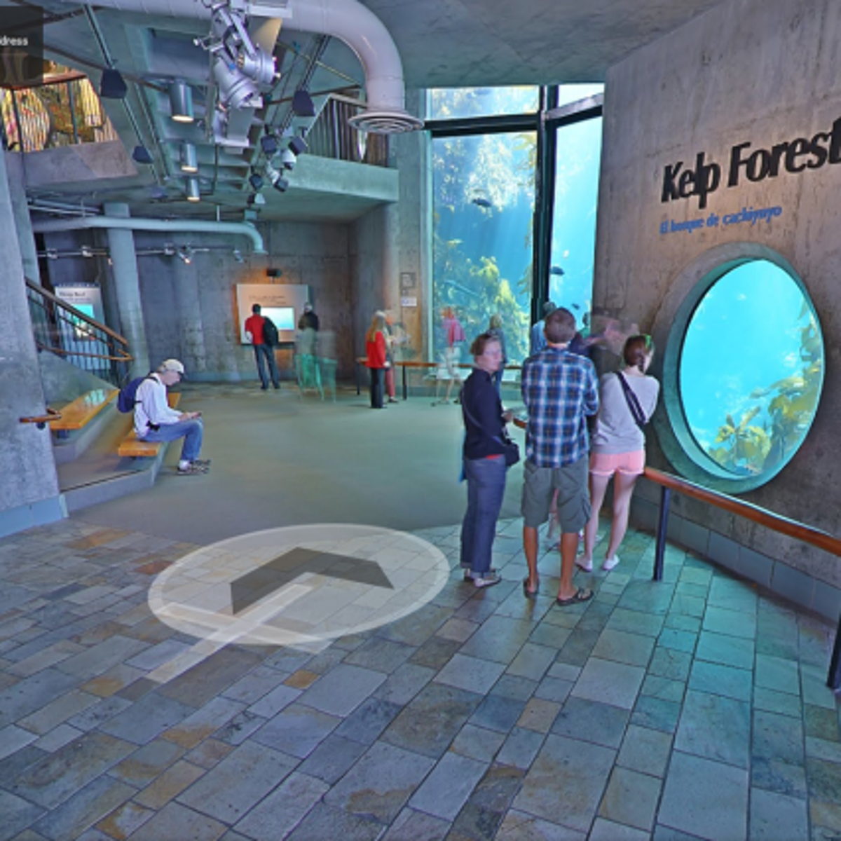 Google Maps Offers A Virtual Walking Tour Of Monterey Bay Aquarium News Montereycountyweekly Com