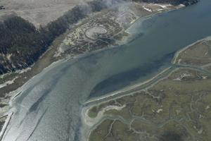 Image for display with article titled New funding will help protect and restore the coastal wetlands at Elkhorn Slough.