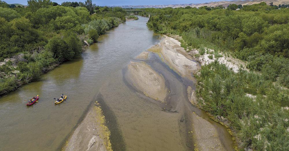 A group of professionals and a disheveled writer paddle down the Salinas River in South County. - Vimarsana News