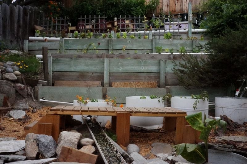 Aquaponics how many fish per plant Breckenridge man to teach sustainable farming to orphans in Honduras