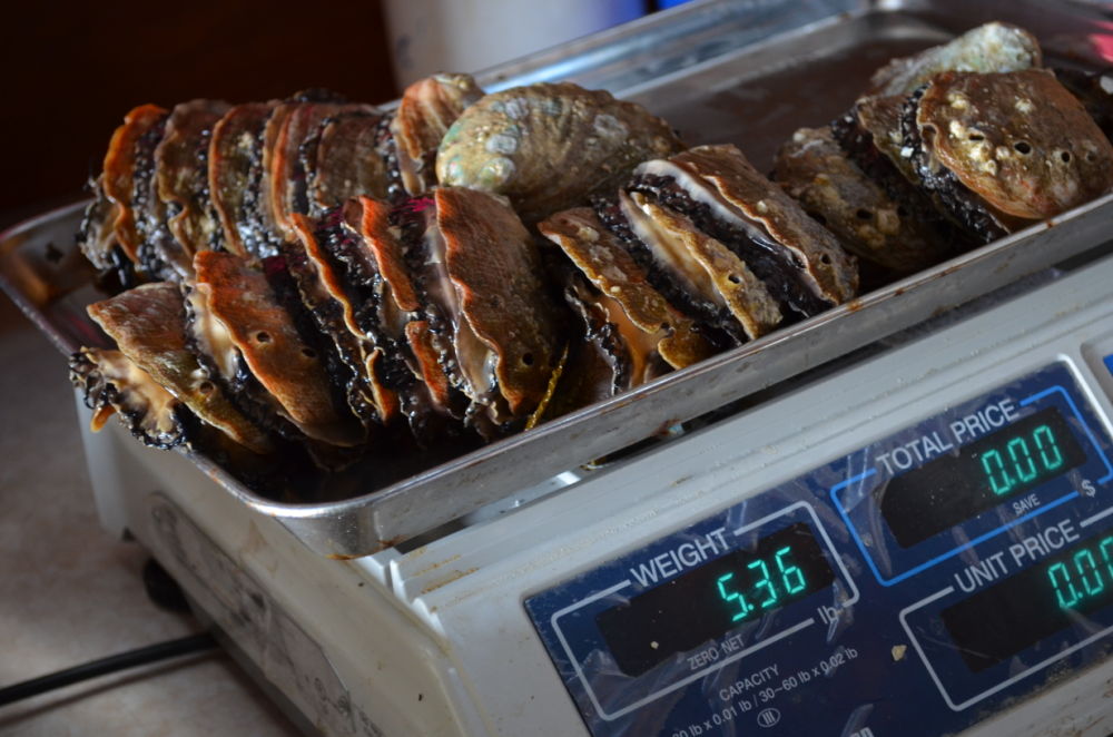 PHOTOS Under Wharf Two with awardwinning Monterey Abalone Company