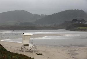 Image for display with article titled Carmel River Floodplain Restoration Project Inches Closer to Reality